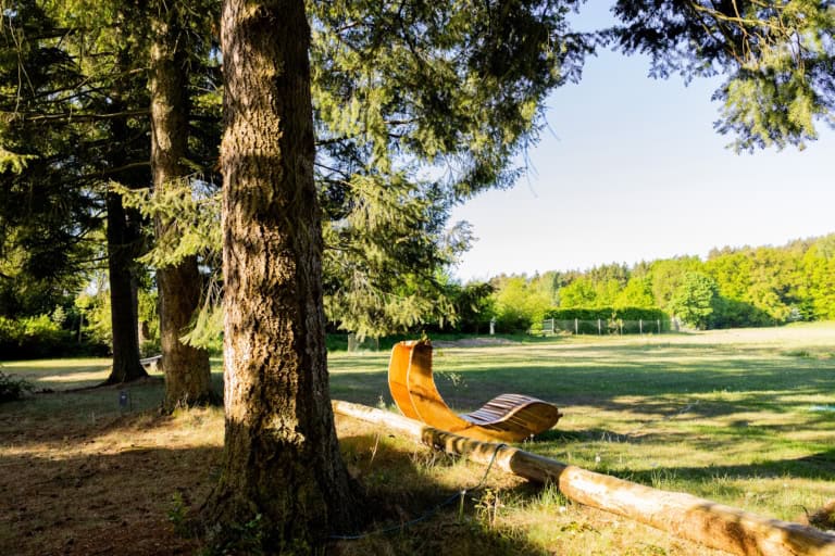 Blick auf den Bolzplatz auf Ferienhof Drewes in Ollsen/Lüneburger Heide