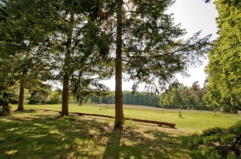 Bolzwiese von Ferienhof Drewes in Ollsen in der Lüneburger Heide