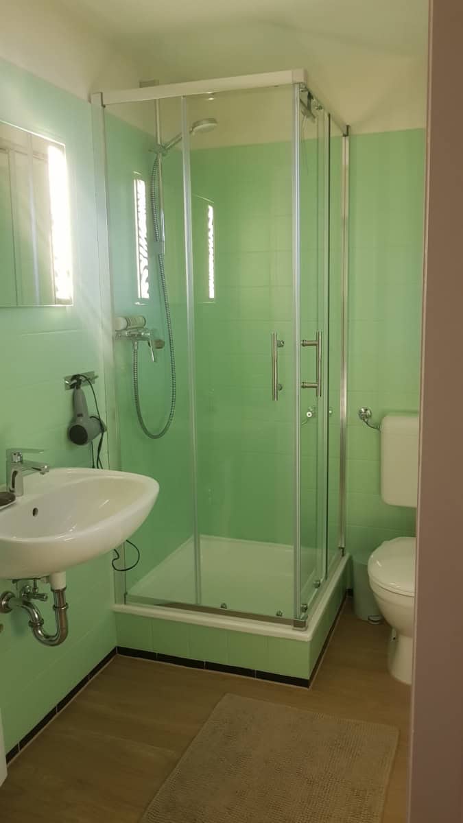 Duschbad mit Dusche, Waschbecken, Fön und WC im Ferienhaus Corinna Bisping in Ollsen in der Lüneburger Heide