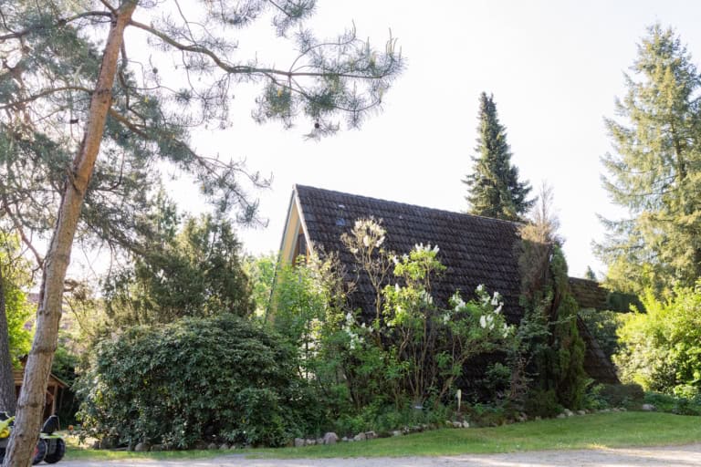 Sichtschutz für Privatsphäre - hier beim Ferienhaus 4 auf Ferienhof Drewes in Ollsen