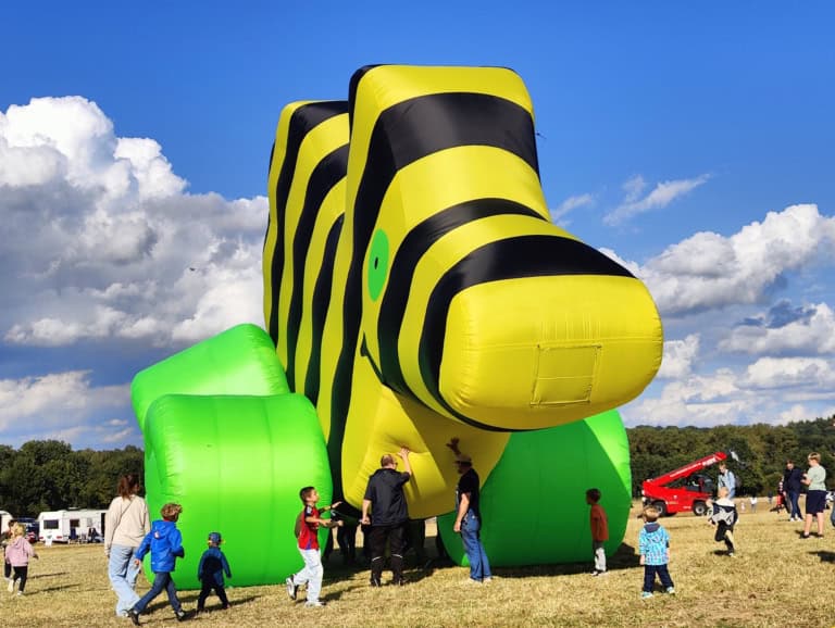 Impressionen vom Heide-Drachenfest 2025 in Hanstedt-Ollsen in der Lüneburger Heide