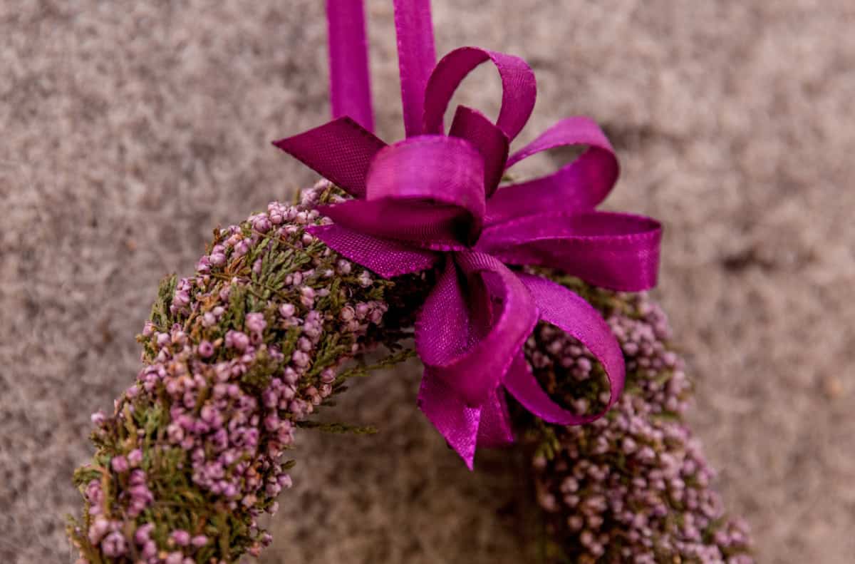 Heidemarie Heidekranz in der Ferienwohnung Marie auf dem Ferienhof Drewes in Ollsen in der Lüneburger Heide