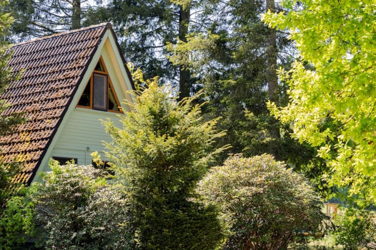 Ferienhaus mit idyllischer Lage im Grünen direkt in der Natur auf dem Ferienhof Drewes in Ollsen/Lüneburger Heide