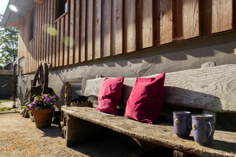 Kaffeezeit auf der gemütlichen Holzbank in der Sonne auf dem Ferienhof Drewes in Ollsen/Lüneburger Heide