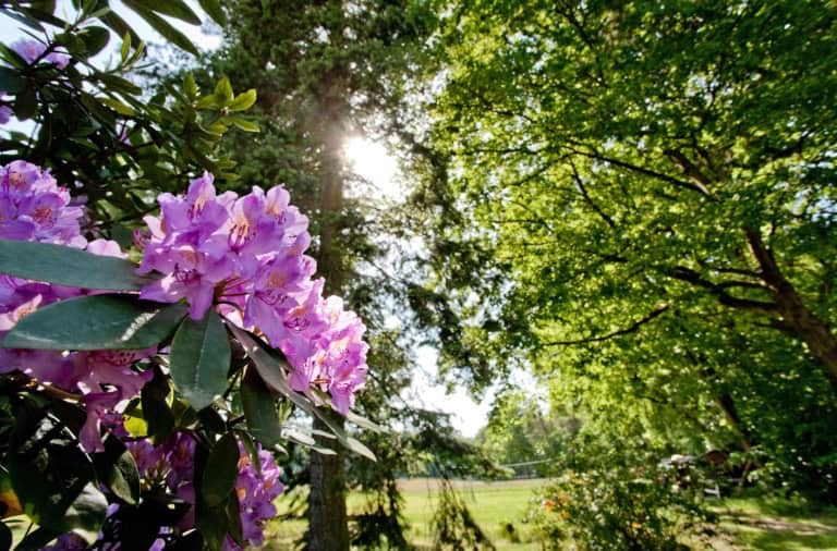 Natur genießen auf dem Ferienhof Drewes in Hanstedt-Ollsen