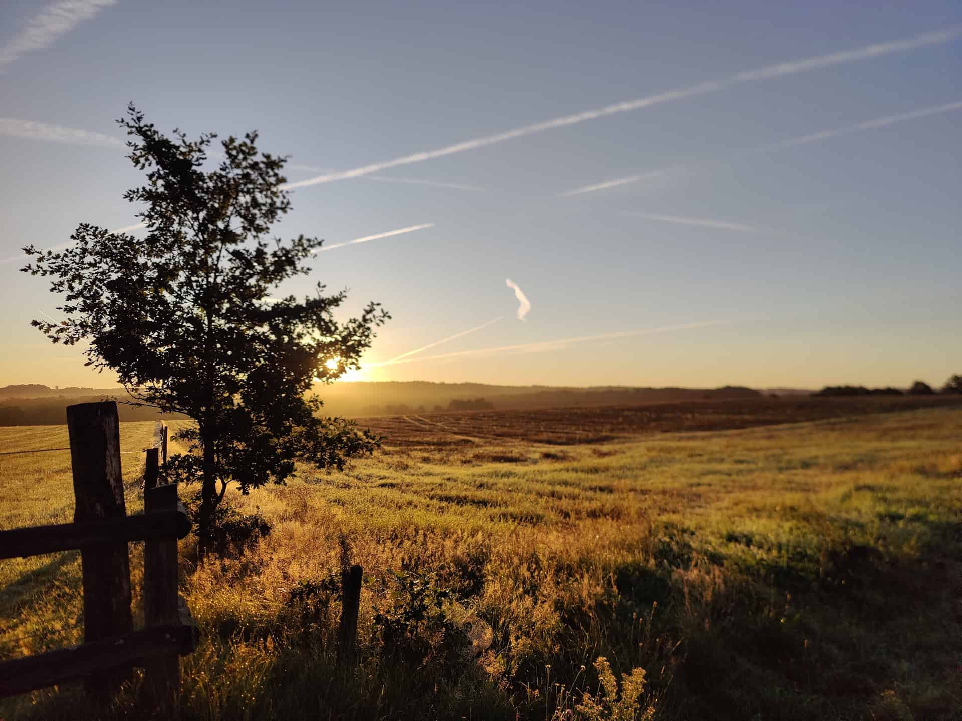 Ollsen, Samtgemeinde Hanstedt in der Lüneburger Heide - Impressionen aus der Umgebung