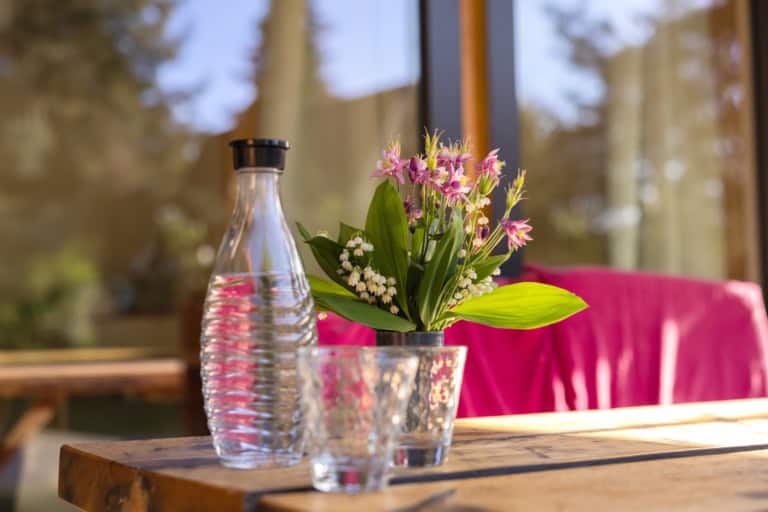 Sie können das Ollsener Leitungswasser pur genießen oder den Sodastream zum Aufsprudeln nutzen.