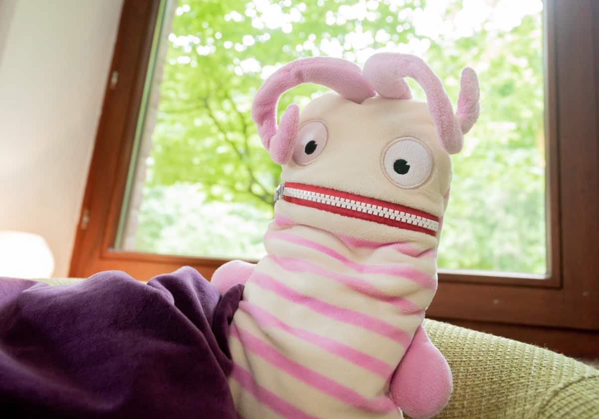 Sorgenfresser in der Ferienwohnung Marie auf dem Ferienhof Drewes in Ollsen in der Lüneburger Heide