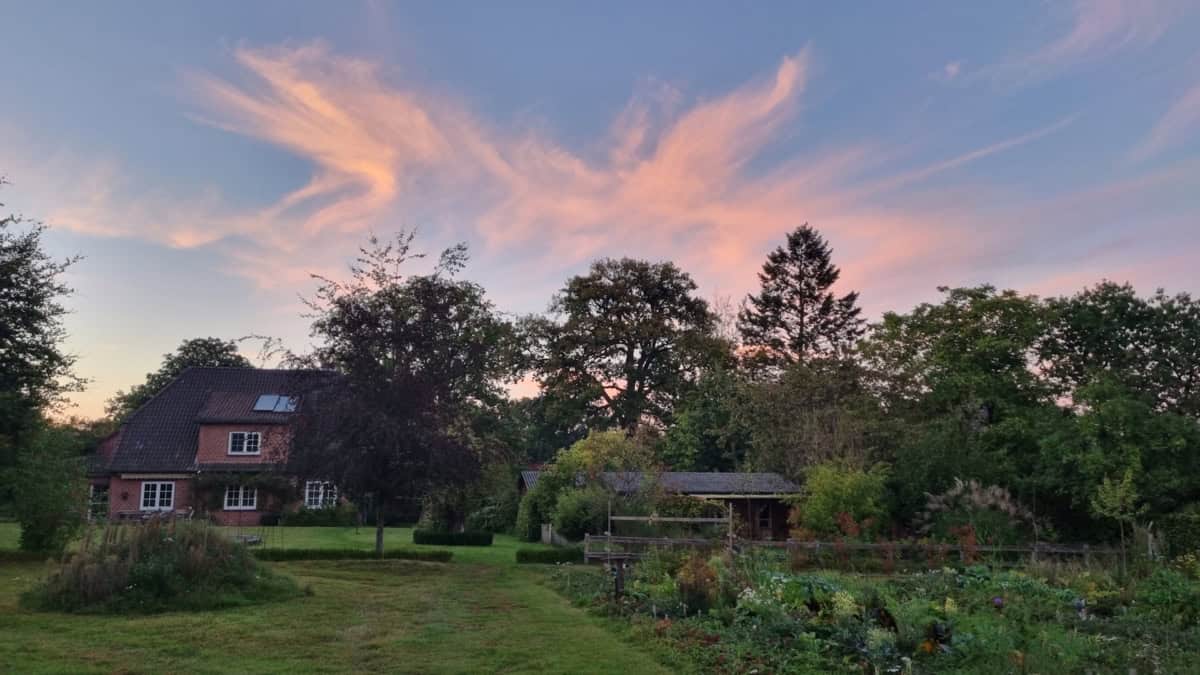 Südansicht des Ferienhauses Corinna Bisping in Ollsen in der Lüneburger Heide