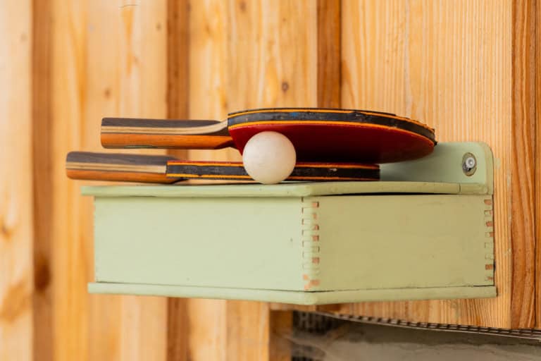 Freizeitvertreib Tischtennis spielen auf dem Ferienhof Drewes in Ollsen/Lüneburger Heide