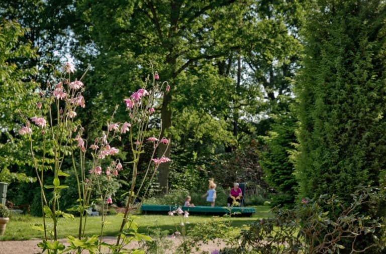 Unbeschwert toben und spielen auf dem Trampolin: Ferienhof Drewes in Ollsen/Lüneburger Heide