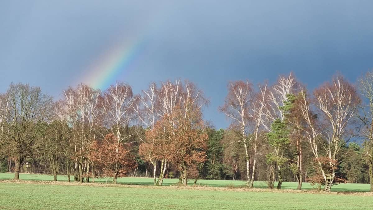 In der Umgebung: Ollsen-Großfellen | Ferienhaus Corinna Bisping in Ollsen in der Lüneburger Heide