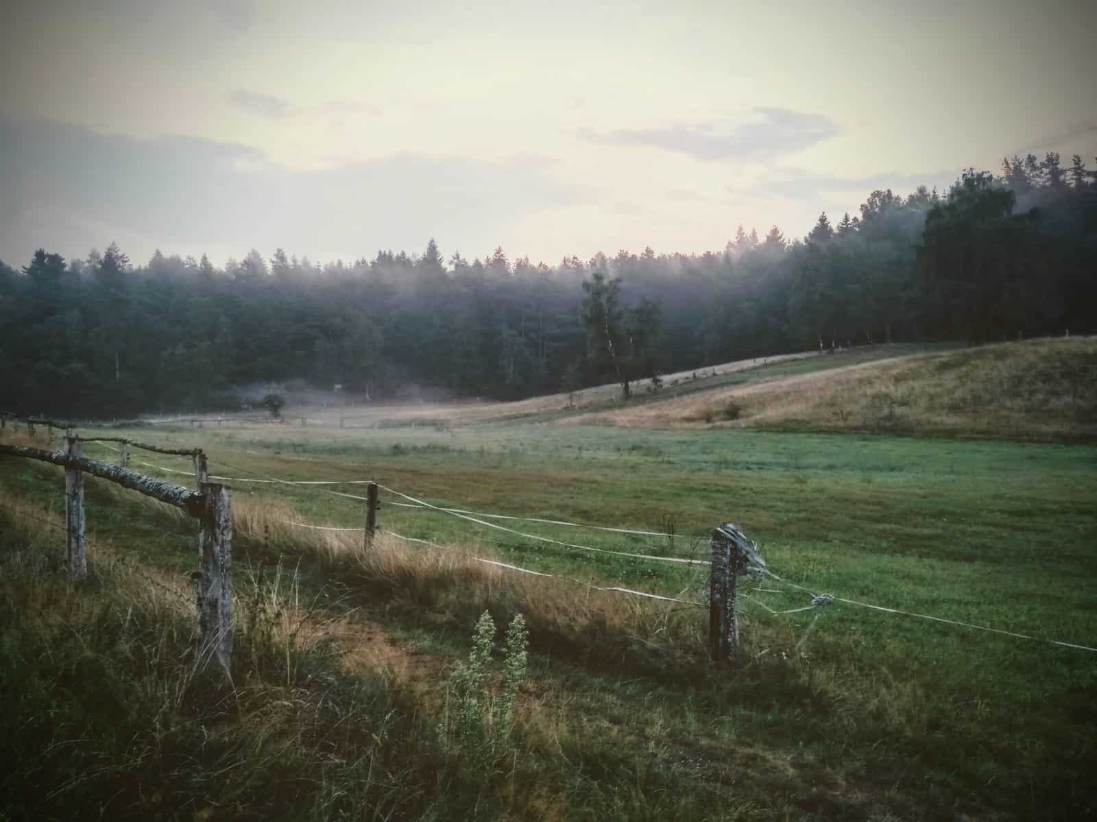 Wasserleitungsgenossenschaft Ollsen