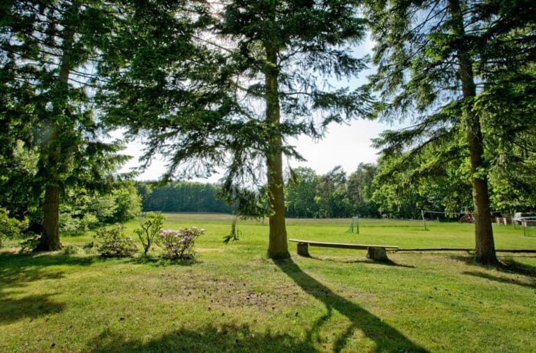 Weide am Ferienhof Drewes in Ollsen/Lüneburger Heide